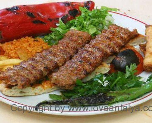 Chicken Shish Specials Kebab